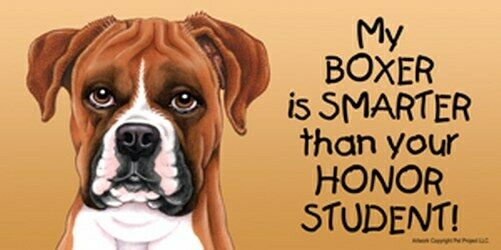 My Boxer Is Smarter Than Your Honor Student! Cute New Car Fridge Dog Magnet 4x8