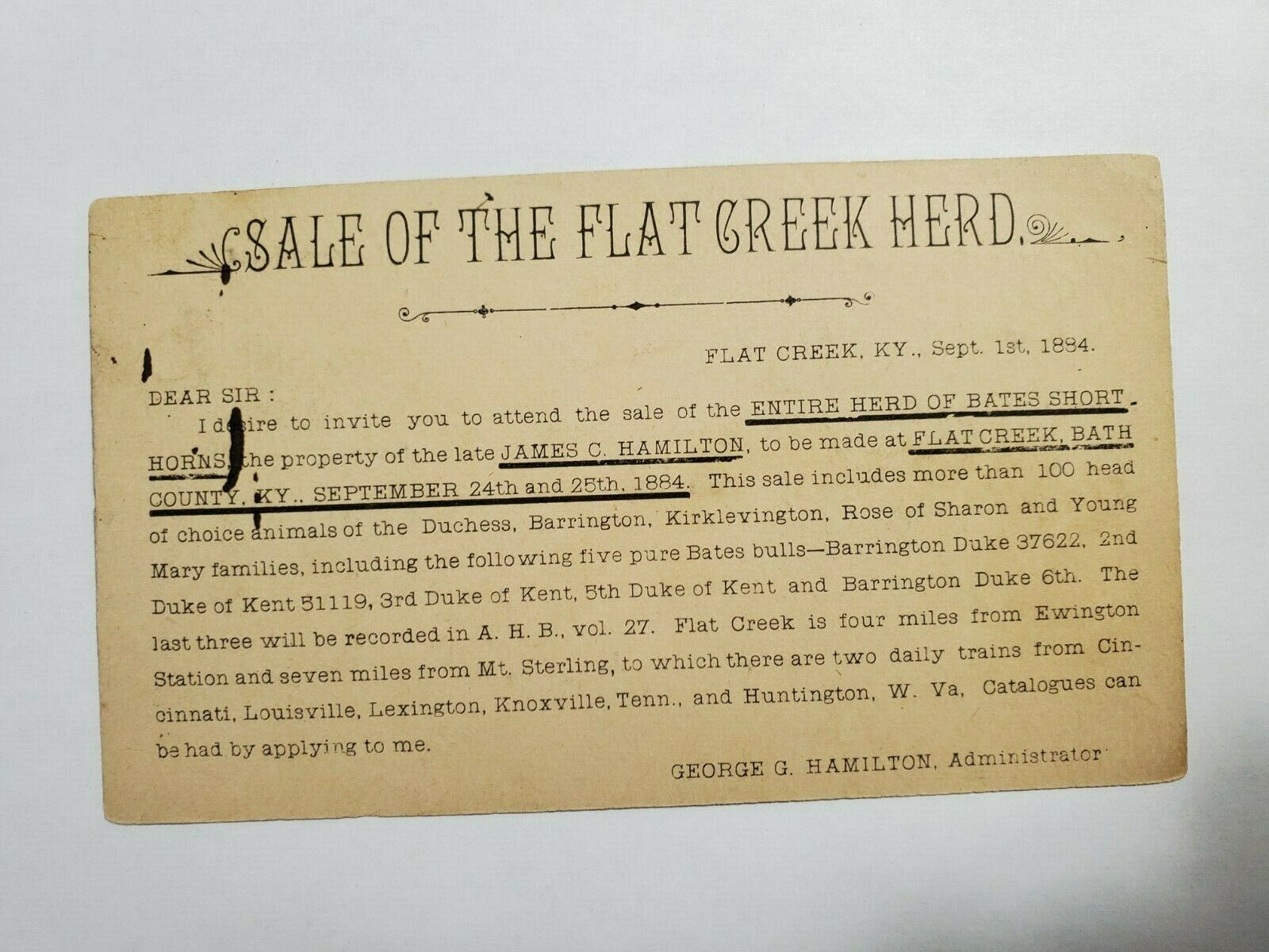 1884 Postcard Sale Of Flat Creek Ky Bates Shorthorn Bulls No Reserve