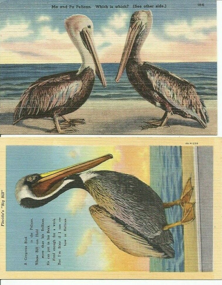 Fl~florida~linen Lot Of 2~ma & Pa Brown Pelicans~which Is Which?