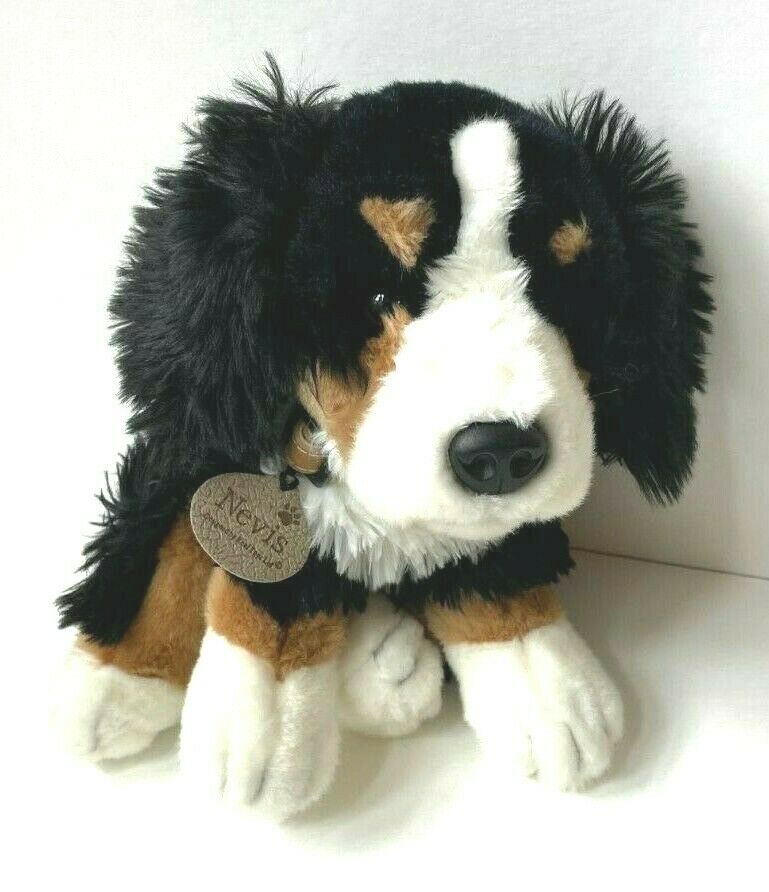 Keel Toys Nevis The Bernese Mountain Dog Collar & Tag 14" Soft Toy Vgc