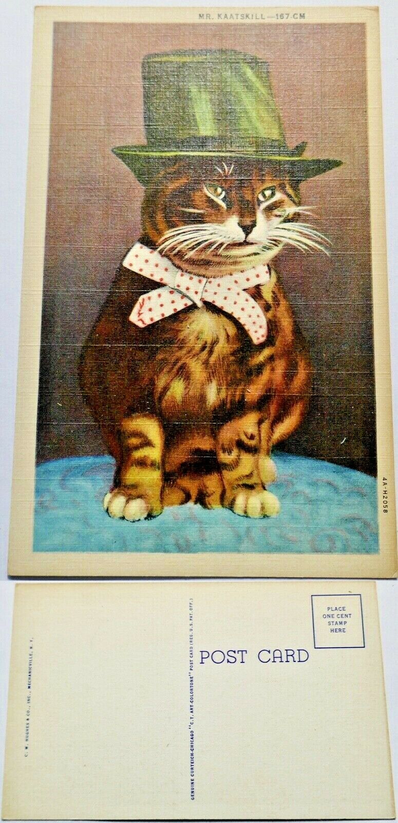 Vintage 1940s Postcard -adorable Cat W/ Hat- "mr. Kaatskill" -catskill Mountains