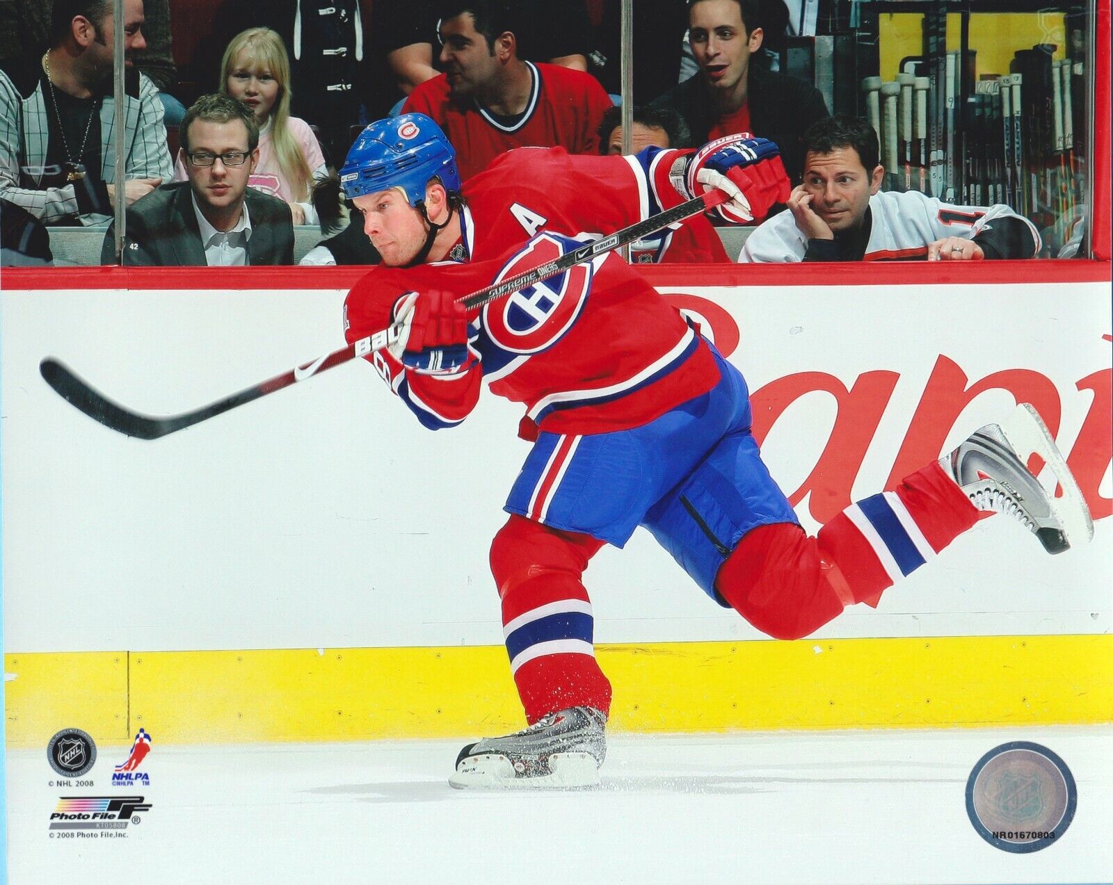 2008 Mike Komisarek Montreal Canadiens - Nhl Licensed 8x10 Photo #nr01670803